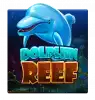 DolphinReef