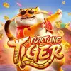 Fortune Tiger