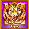 Fortune Tiger