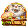 Lucky Tigers