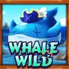 Whale Wild