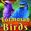 Formosan Birds