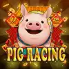 Pig Racing