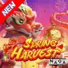 Spring Harvest