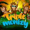 Triple Monkey