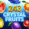 243 Crystal Fruits